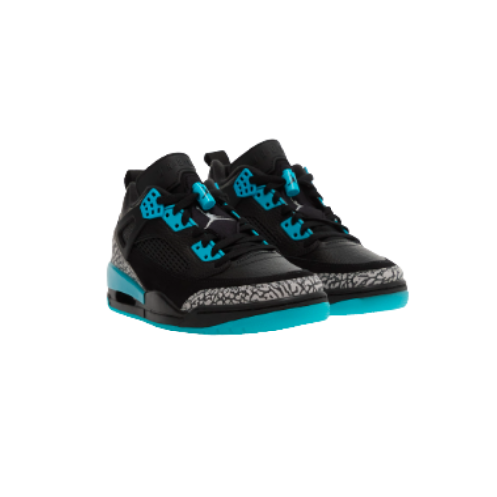 Jordan Spizike Low - Black/Wolf Grey-Gamma Blue (Unisex Style) FQ1759 005