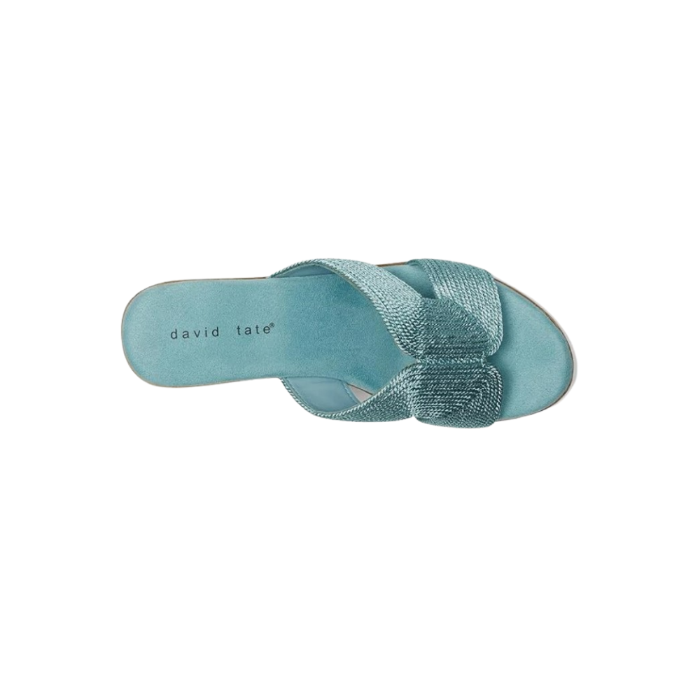 David Tate Women's Vibe Wedge Slide Sandal - Sky Rayon Fabric