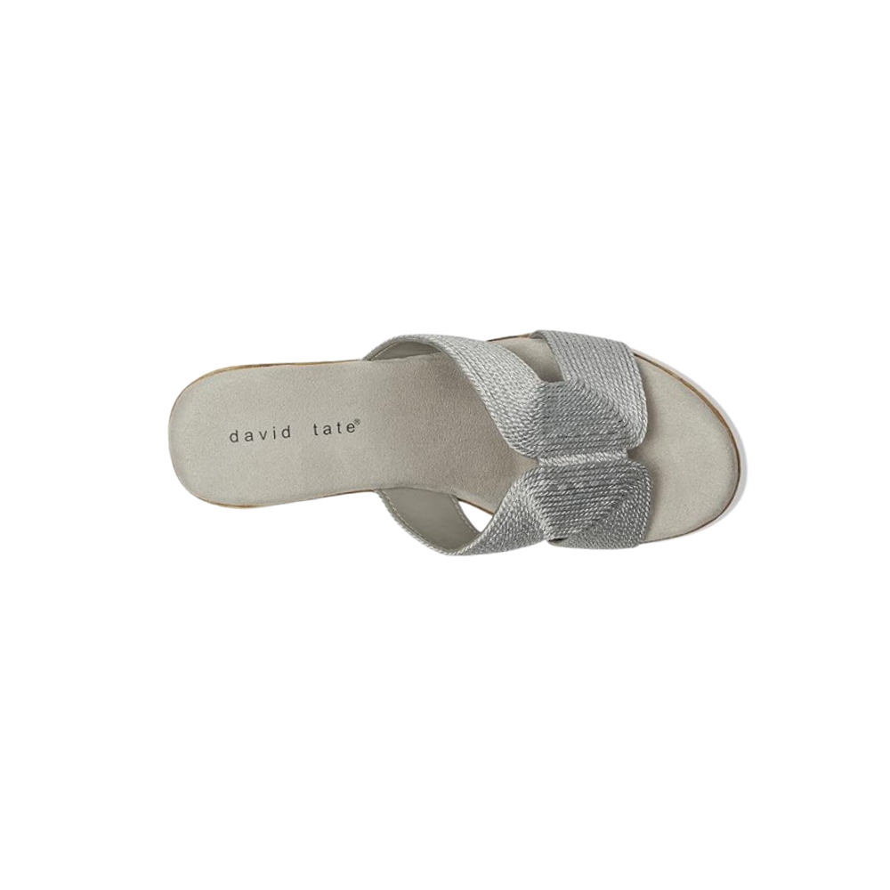 David Tate Women's Vibe Wedge Slide Sandal - Silver Rayon Fabric