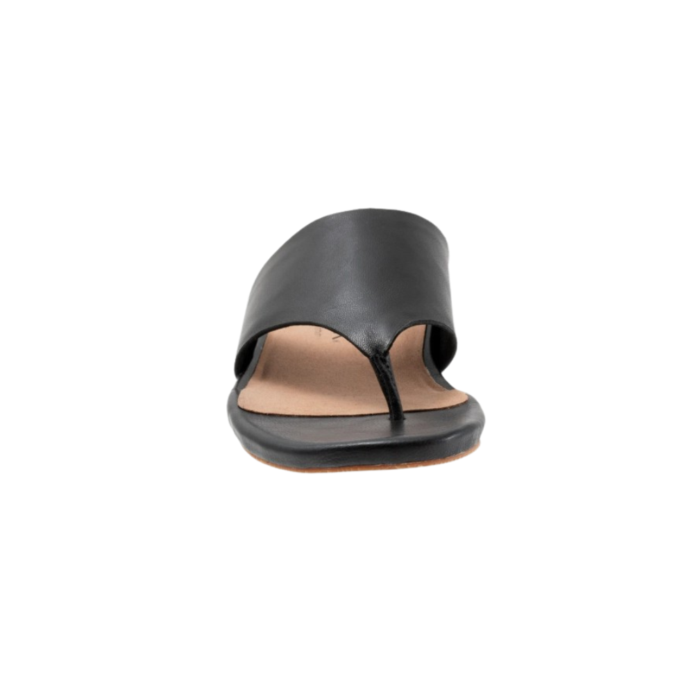 SoftWalk Chandler Women's Asymmetric Leather Thong Sandal - Black