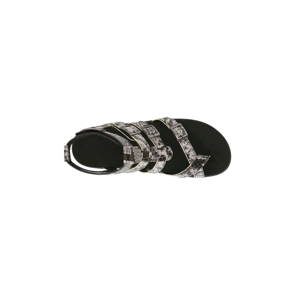 SAS Women's Aria LX Gladiator Leather Sandal - Mamba