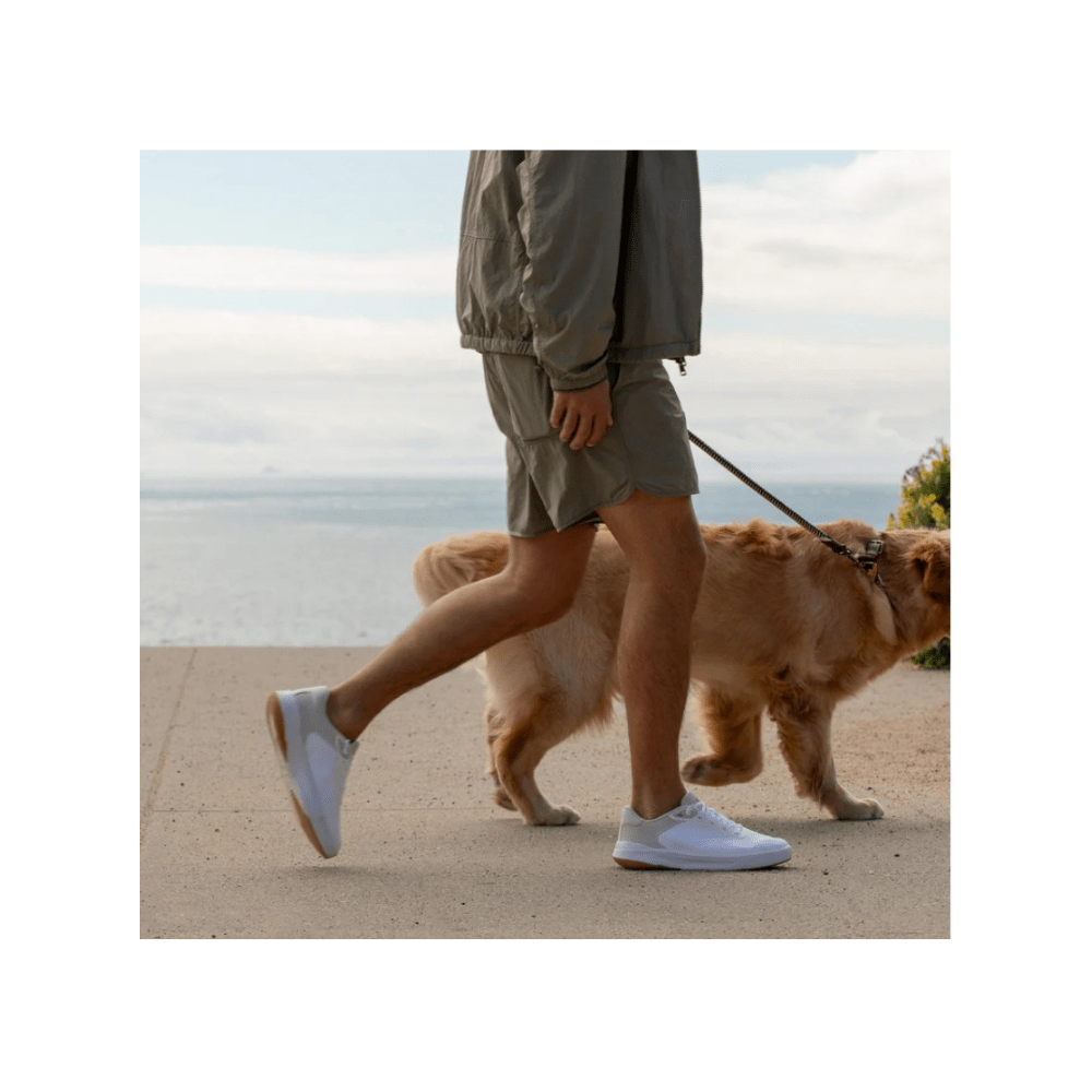 Reef Men's Shoreline Del Mar Breathable Lightweight Sneaker - White